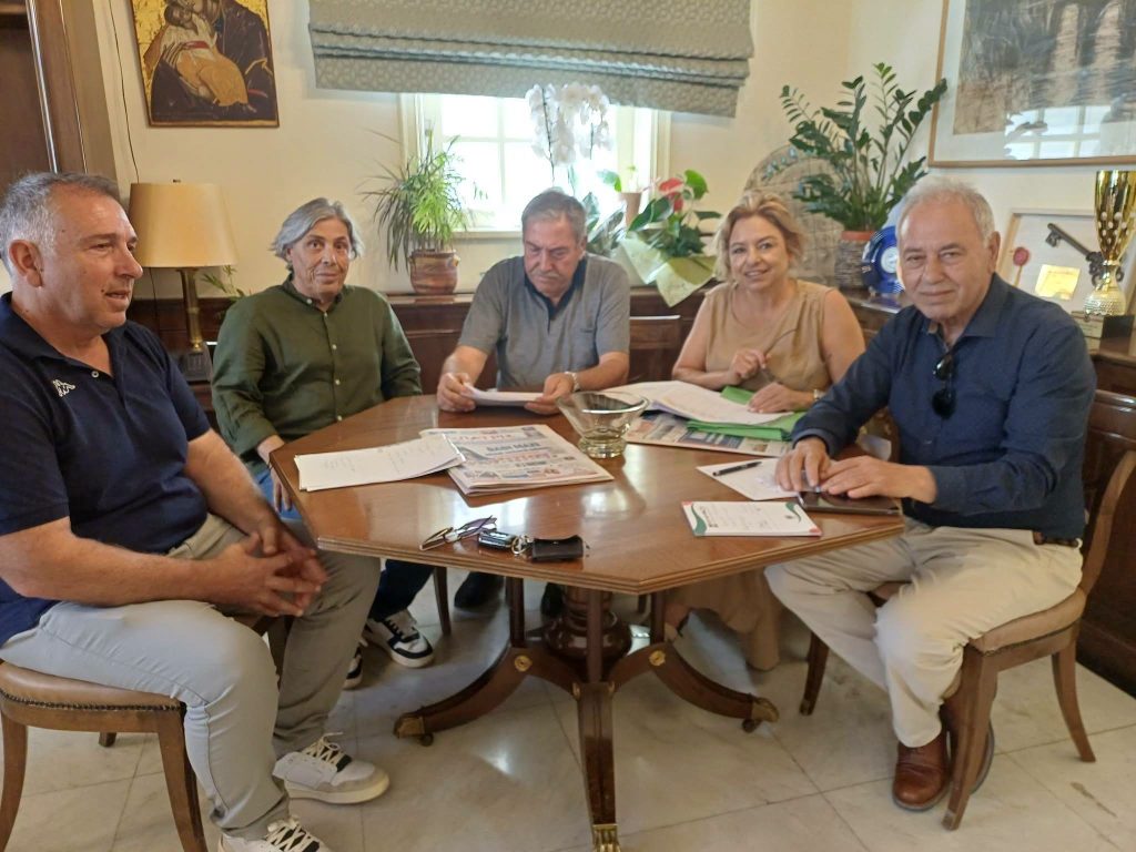 deltio tipou pirgos