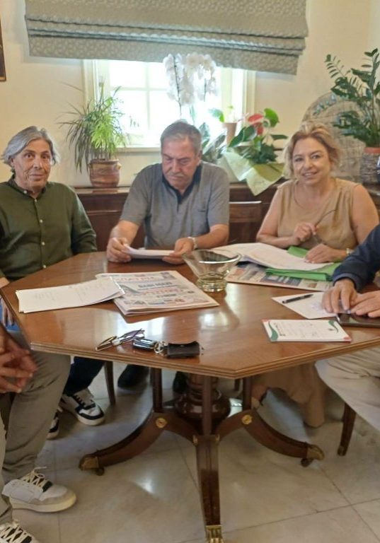 deltio tipou pirgos