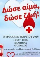 σεα-άμφισσας-αιμοδοσία-27-3
